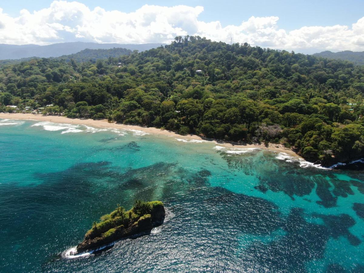 Cariblue Beach And Jungle Resort Puerto Viejo de Talamanca Exteriör bild