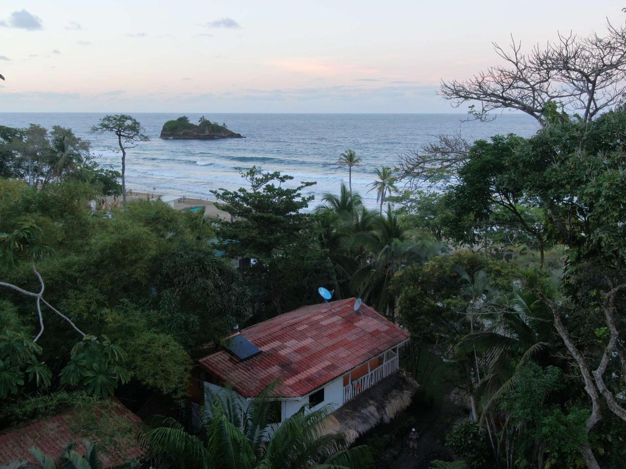 Cariblue Beach And Jungle Resort Puerto Viejo de Talamanca Rum bild