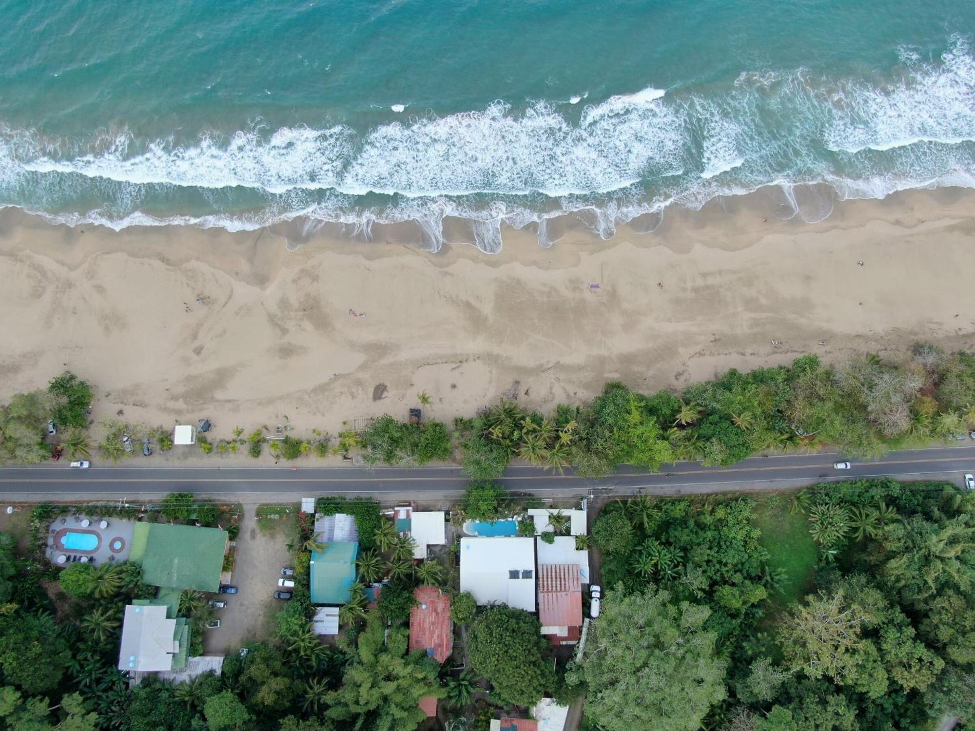 Cariblue Beach And Jungle Resort Puerto Viejo de Talamanca Rum bild