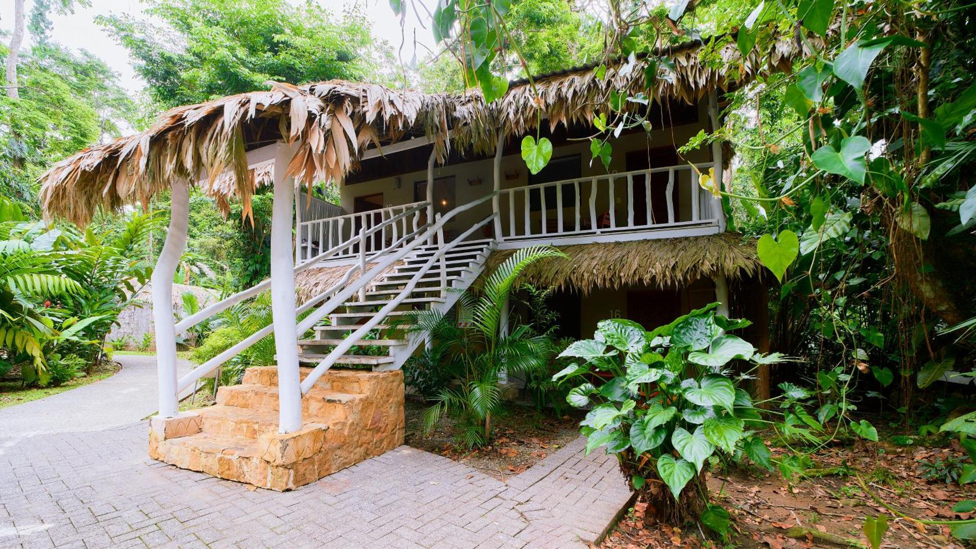 Cariblue Beach And Jungle Resort Puerto Viejo de Talamanca Rum bild