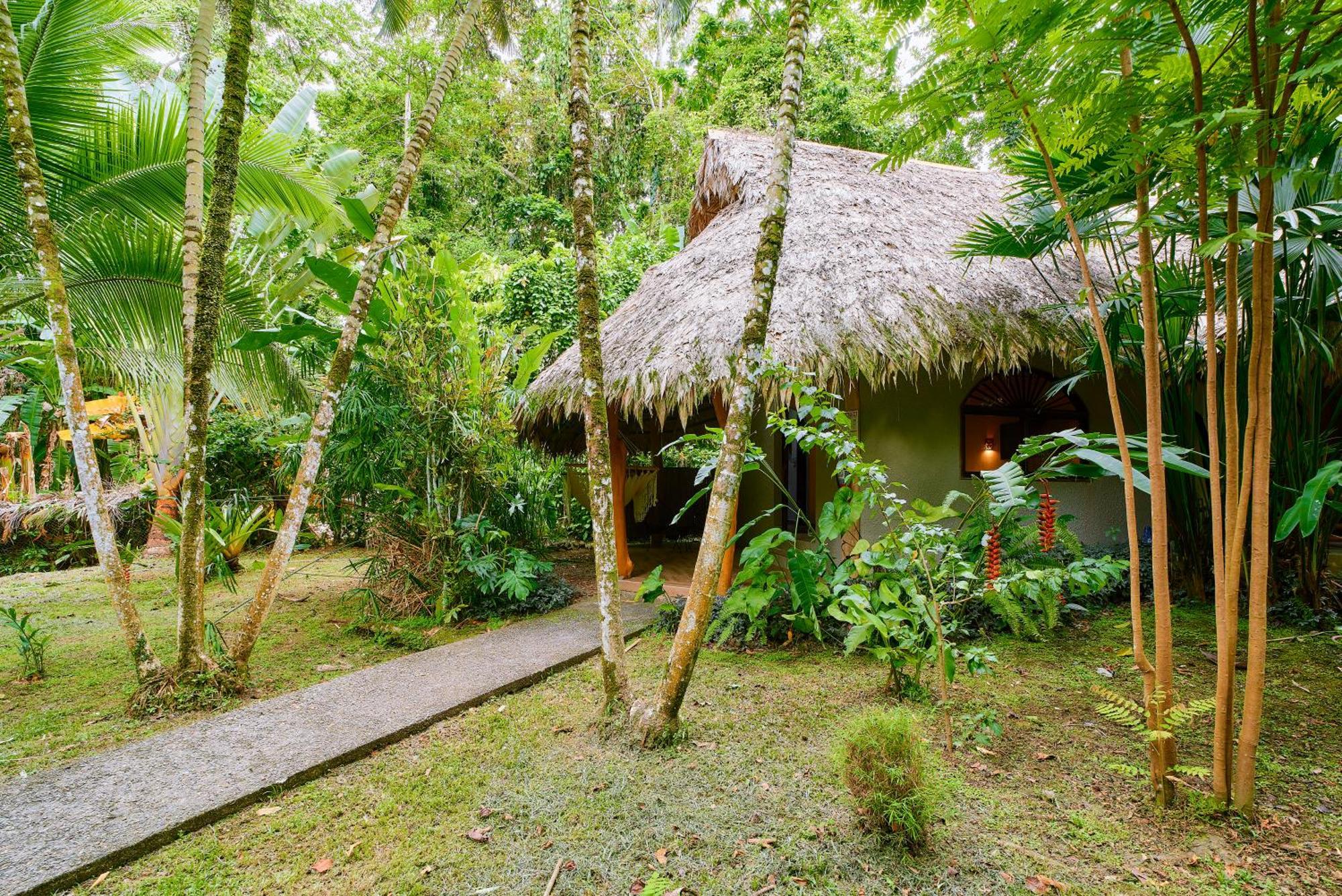 Cariblue Beach And Jungle Resort Puerto Viejo de Talamanca Rum bild