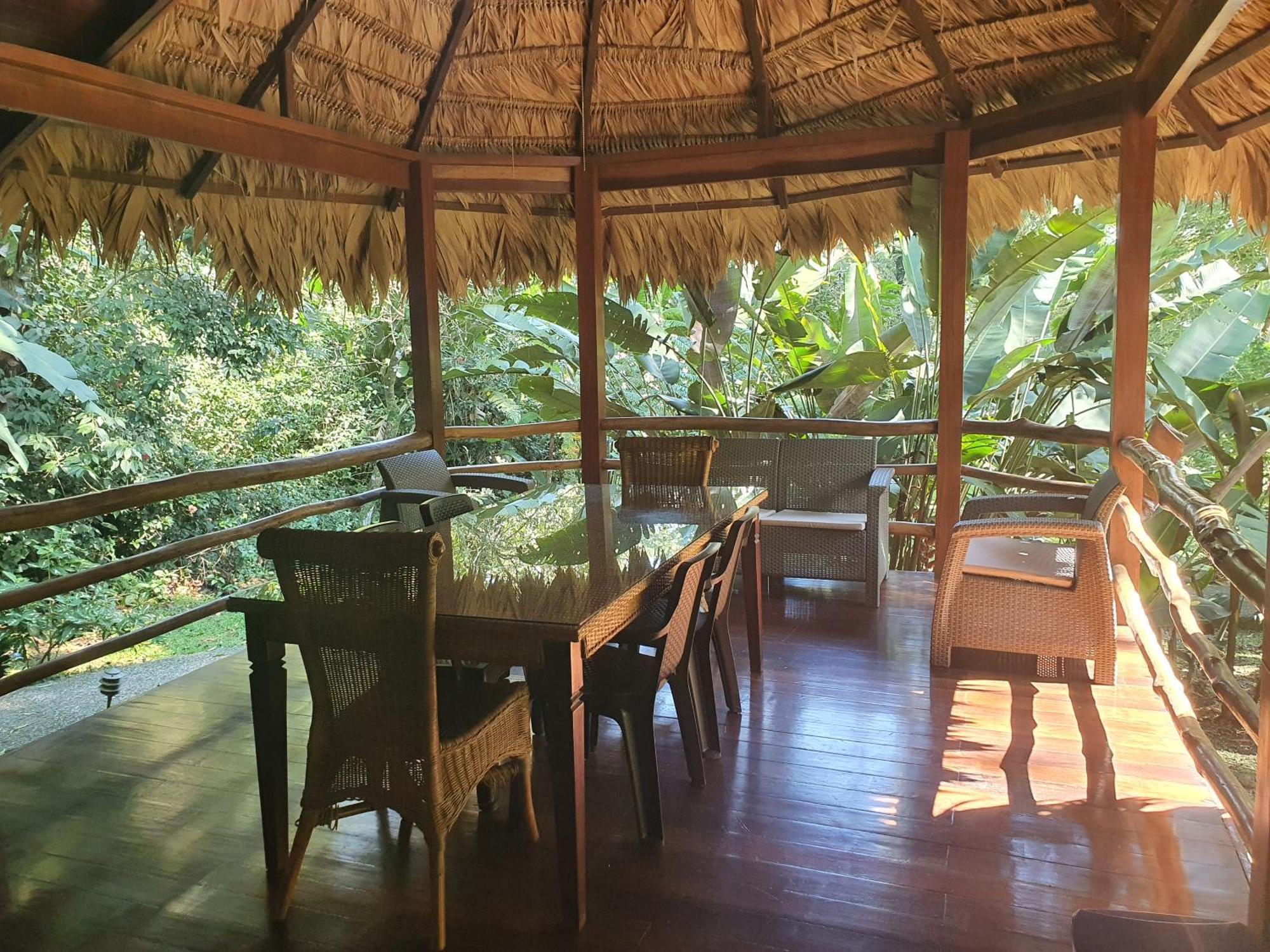 Cariblue Beach And Jungle Resort Puerto Viejo de Talamanca Rum bild