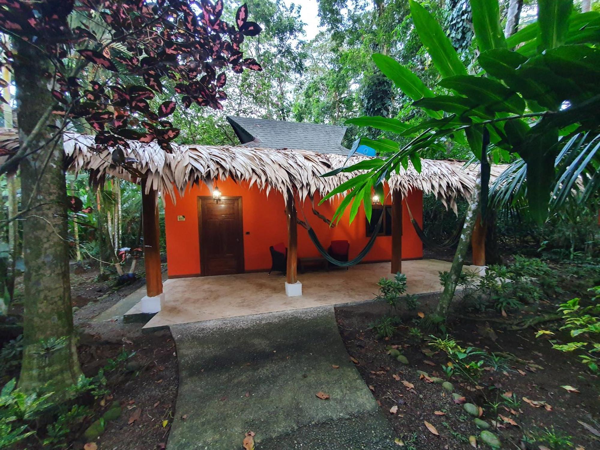 Cariblue Beach And Jungle Resort Puerto Viejo de Talamanca Rum bild